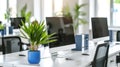 Modern office interior with green plants, desks and computers, empty room with white design. Theme of business, table, workplace, Royalty Free Stock Photo