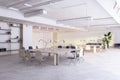 Modern office interior with long tables, chairs, and desk lamps, minimalist style, on a concrete floor, concept of workplace. Royalty Free Stock Photo