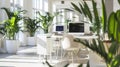 Modern office space interior with green plants, desks and computers, empty room with white design. Theme of business, work, table Royalty Free Stock Photo