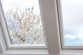 A modern open skylight,mansard window against blue sky with beautiful tree with white flowers, modern new house design Royalty Free Stock Photo