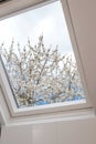 A modern open skylight,mansard window against blue sky with beautiful tree with white flowers, modern new house design Royalty Free Stock Photo