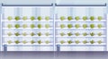 Modern organic hydroponic vertical farm interior agriculture smart farming system concept green plants growing industry