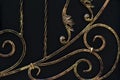 Modern ornate wrought iron fence elements