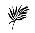 Modern Palm leaf vector abstrac illustration. Black and white silhouette. Isolated Exotic jungle contemporary trendy