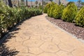 Modern park gardening landscaping design. Small thuja tree mulched with natural brown bark mulch and green bushes near