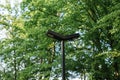 Modern park lighting lantern near the fence. Solar batteries, phone charging and modern technology in the park forest