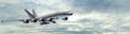 Modern Passenger airplane in flight panorama