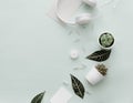 Modern Pastel Hipster Flat Lay With Pots with Cactus, headphones