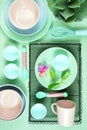 Modern pastel pink, green and blue ceramic tableware set on pale green.