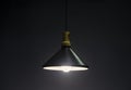 Modern Pendant light lamp illuminated, Elegant Chandelier illuminated