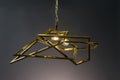 Modern Pendant light lamp illuminated, Elegant Chandelier illuminated