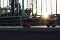 Modern pink skateboard with red wheels on top of ramp outdoors at sunset Royalty Free Stock Photo