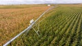 Modern pivot irrigation system in cornfield. A sprinkler system, agriculture technology Royalty Free Stock Photo