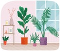 Modern plants at home interior design. Room in apartment for growing plants and flowers in pot