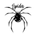 Modern poisonous black spider logo.