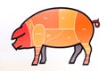 Modern pork butcher cuts diagram