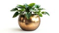 A modern potted philodendron in a metallic pot, sleek look, isolated on white background Royalty Free Stock Photo