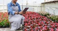 Modern profession farmer and gardener. African american girl in apron makes photo of flowers in greenhouse