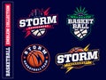 Modern professional basketball logo set for sport team