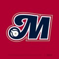 Modern professional letter emblem for sport teams. M letter
