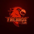 Modern professional logo for sport team. Firebird mascot. Firebirdss, vector symbol on a light background.