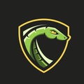 Modern professional logo for sport team. Snake mascot. Vipers, vector symbol on a dark background.