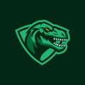 Modern professional logo for sport team. T-rex mascot. Dinosaur vector symbol on a dark background. Royalty Free Stock Photo