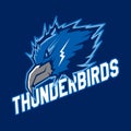 Modern professional logo for sport team. Thunder bird mascot. Thunderbirds, vector symbol on a dark background. Royalty Free Stock Photo