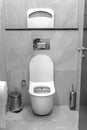 A modern public toilet in black and white