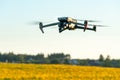 A modern quadcopter flies over a field of sunflowers against the sunset. The use of modern technologies in the agro-industrial Royalty Free Stock Photo