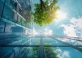 Modern Reflective Glass Building with Tree and Clouds in the Blue Sky Royalty Free Stock Photo