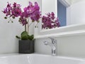 Modern residential bathroom interior Royalty Free Stock Photo