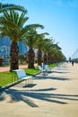 The modern resort town of Georgia Batumi. A neat line of palm trees on the embankment