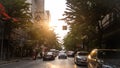 Modern road cars sunshine trees, great design for Royalty Free Stock Photo