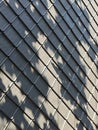 Modern Roof Tile with Leaf Shadows â Architectural Texture with Natural Contrast Royalty Free Stock Photo