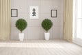 Modern room with curtains,frames,picture,plants interior design. 3D illustration