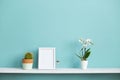 Picture frame mockup. White shelf against pastel turquoise wall with potted orchid and cactus plant Royalty Free Stock Photo