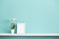 Picture frame mockup. White shelf against pastel turquoise wall with potted orchid plant Royalty Free Stock Photo