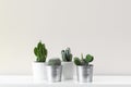 Modern room decoration. Various cactus house plants in different pots against white wall. Cactus mania concept. Royalty Free Stock Photo
