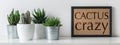 Modern room decoration. Various cactus and succulent plants in different pots. Mock-up with a black frame. Royalty Free Stock Photo