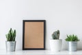 Modern room decoration. Various cactus and succulent plants. Mock-up with a black frame. Royalty Free Stock Photo