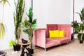 Modern room interior. Pink sofa with pillows against a white wall and lots of potted plants Royalty Free Stock Photo