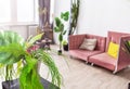 Modern room interior. Pink sofa with pillows against a white wall and lots of potted plants Royalty Free Stock Photo