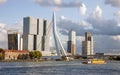 Modern Rotterdam view Erasmus bridge in the Netherlands Royalty Free Stock Photo