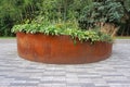 Modern rusty metal garden flowerbed