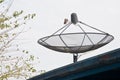 Modern satellite dish on the roof top with tree leaves branch Royalty Free Stock Photo