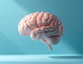 Modern Scientific Ceramic Brain Model with Glossy Surface and Soft Studio Lighting Royalty Free Stock Photo