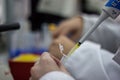 Modern scientist working in biotechnological laboratory equipment for research with pipettes and blue and yellow colorful test tu