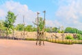 Modern sculpture of two giraffes at the zoo. Two giraffe sculpture with black spots stands under a red canopy in an