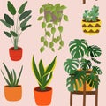 Modern seamless pattern with different house plants.
